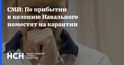 Алексей Навальный - СМИ: По прибытии в колонию Навального поместят на карантин - nsn.fm