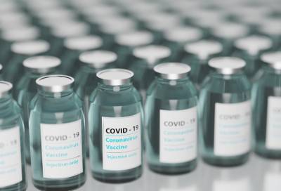 Чуть меньше трети россиян готовы вакцинироваться от COVID-19 - online47.ru