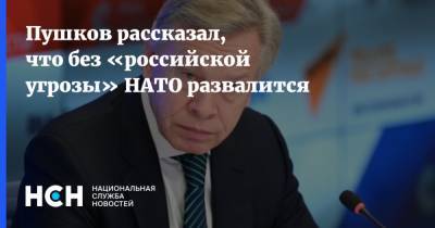 Алексей Пушков - Пушков рассказал, что без «российской угрозы» НАТО развалится - nsn.fm