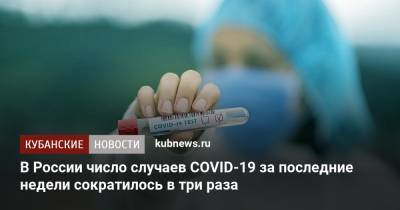 Наталья Пшеничная - В России число случаев COVID-19 за последние недели сократилось в три раза - kubnews.ru - Россия