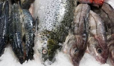 Владимир Солодов - Российскую рыбу будут хранить в Японии - mirnov.ru - Россия - Китай - Камчатский край - Далянь