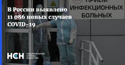 В России выявлено 11 086 новых случаев COVID-19 - nsn.fm - Россия