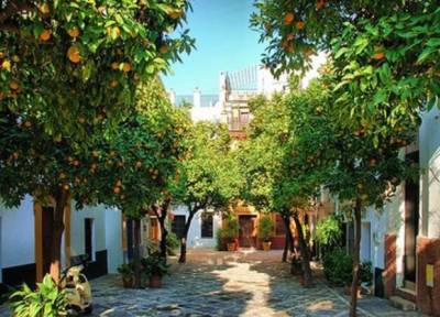 В Севилье из апельсинов будут производить чистую энергию - inform-ua.info