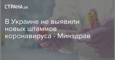 Виктор Ляшко - В Украине не выявили новых штаммов коронавируса - Минздрав - strana.ua