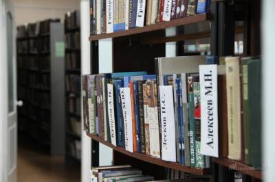 В библиотеке на Неделина – «Дни возвращенной книги» - lipetskmedia.ru