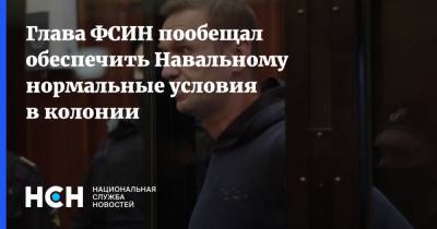 Алексей Навальный - Александр Калашников - Глава ФСИН пообещал обеспечить Навальному нормальные условия в колонии - nsn.fm
