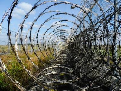 Озеленение тюрем снижает уровень насилия среди заключенных - polit.ru - Англия