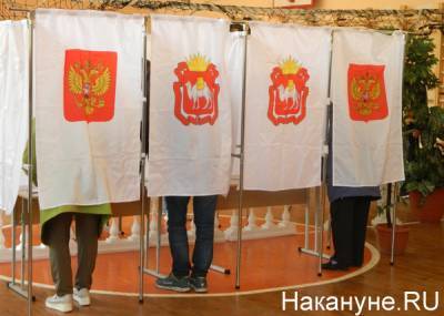 Элла Памфилова - В июне станет понятно, будут ли выборы в Госдуму многодневными - ЦИК - nakanune.ru