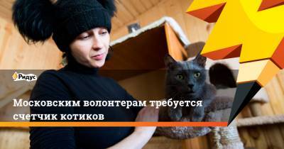Московским волонтерам требуется счетчик котиков - ridus.ru - Москва