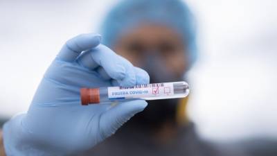 Медики выявили 11 534 новых случая коронавируса за сутки в России - nation-news.ru - Россия