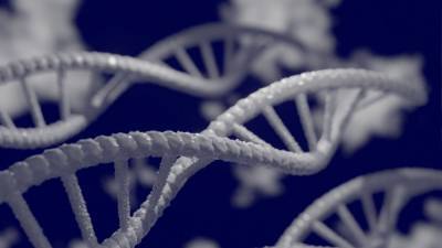 Полученные от неандертальцев гены способны облегчить течение коронавируса - nation-news.ru