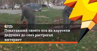 Покатавший своего пса накарусели дедушка дослез растрогал интернет - ridus.ru