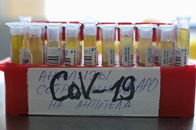 В России за сутки выявили 11 359 новых случаев коронавируса - pnp.ru - Россия - Москва