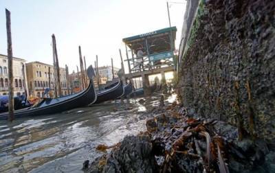В Венеции после наводнения пересохли каналы: что произошло - inform-ua.info - Италия