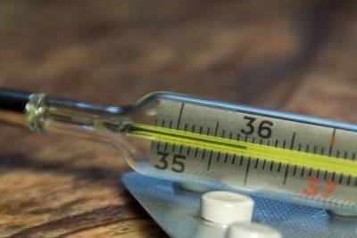 Дончане сообщили о «космической» стоимости ртутных градусников - mk.ru