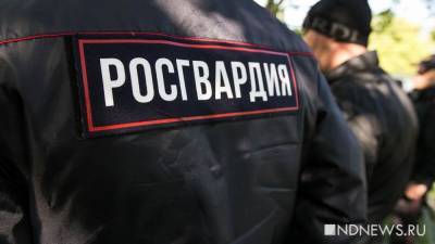 Росгвардия пообещала сама проверить своего сотрудника, избившего в Москве журналиста - newdaynews.ru - Россия - Москва