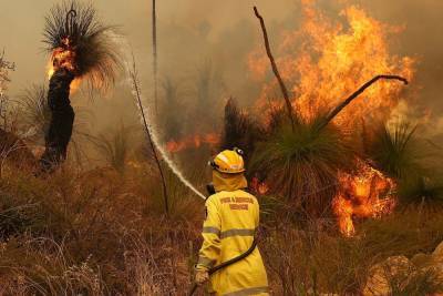 В Австралии вновь вспыхнули масштабные пожары: сотни людей эвакуируют – фото, видео - 24tv.ua - Австралия - Перт