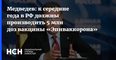 Дмитрий Медведев - Медведев: к середине года в РФ должны производить 5 млн доз вакцины «Эпиваккорона» - nsn.fm - Россия