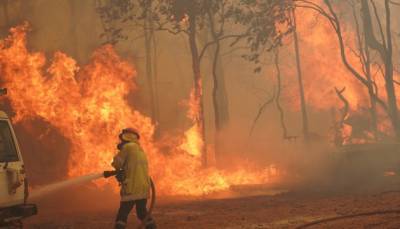 В Австралии вновь вспыхнули масштабные лесные пожары (ВИДЕО) - vedomosti-ua.com - Австралия - Перт