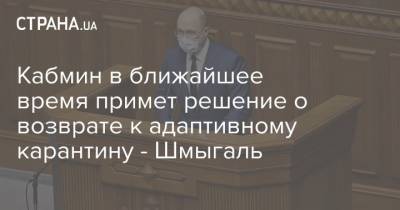 Кабмин в ближайшее время примет решение о возврате к адаптивному карантину - Шмыгаль - strana.ua