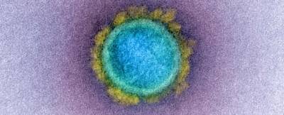 Ученые: Мутации коронавируса могут сделать прививки бесполезными - news.bigmir.net - Англия - Бразилия - Юар