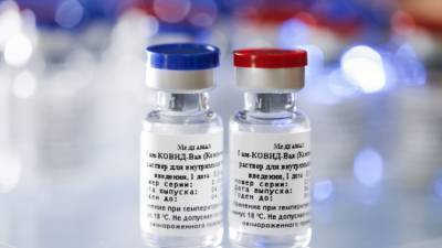 Глава РФПИ назвал возможные сроки одобрения вакцины "Спутник V" в ЕС - newinform.com