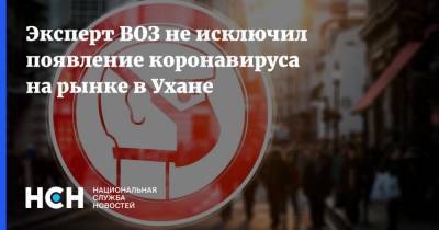 Владимир Дедков - Эксперт ВОЗ не исключил появление коронавируса на рынке в Ухане - nsn.fm - Россия - Китай - Ухань