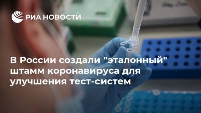 В России создали "эталонный" штамм коронавируса для улучшения тест-систем - ria.ru - Россия - Москва