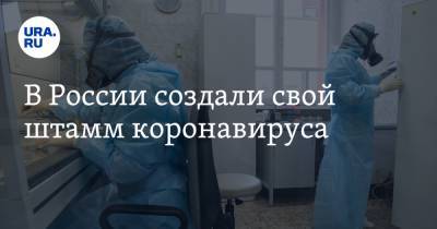 В России создали свой штамм коронавируса - ura.news - Россия
