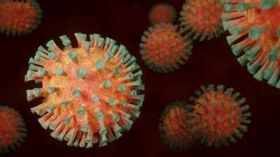 Стандартный штамм коронавируса утвердил Росстандарт - neva.today - Россия