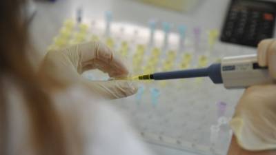 Экспериментальные таблетки от рака могут уничтожить коронавирус - inforeactor.ru