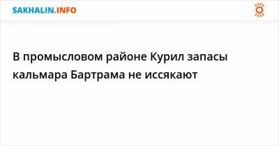 В промысловом районе Курил запасы кальмара Бартрама не иссякают - sakhalin.info