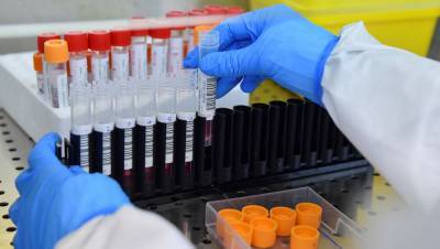 Надим Захави - В Великобритании заявили о четырех тысяч мутациях коронавируса в мире - gazeta.ru - Англия