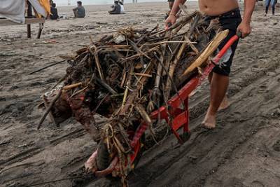 Популярные пляжи Бали превратились в мусорные свалки - lenta.ru