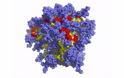 Ученым удалось активировать иммунитет от ВИЧ - korrespondent.net