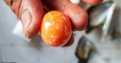 Нищий рыбак из Таиланда нашел редчайшую оранжевую жемчужину стоимостью в 300 тысяч долларов - focus.ua - Таиланд - Находка