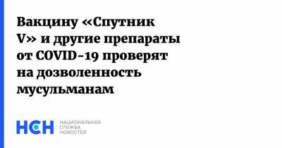 Ильдар Аляутдинов - Вакцину «Спутник V» и другие препараты от COVID-19 проверят на дозволенность мусульманам - nsn.fm - Россия - Москва