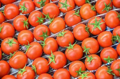 В Россию разрешили ввозить томаты и перцы с 13 предприятий Армении - pnp.ru - Россия - Армения - Армавирская обл.