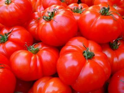 Россиянам возвращают армянские помидоры - rosbalt.ru - Россия - Армения
