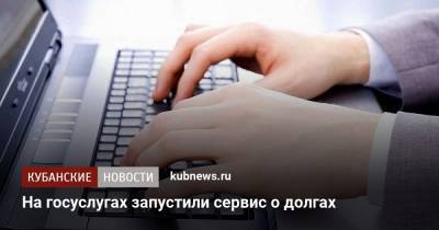 На госуслугах запустили сервис о долгах - kubnews.ru
