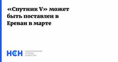 Гаяна Саакян - «Спутник V» может быть поставлен в Ереван в марте - nsn.fm - Россия - Армения - Ереван