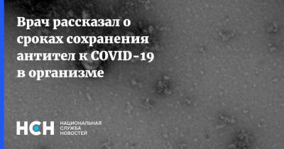 Евгений Тимаков - Врач рассказал о сроках сохранения антител к COVID-19 в организме - nsn.fm