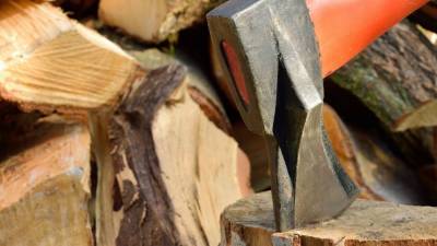Российские власти предложили ограничить экспорт древесины - riafan.ru - Россия - Москва