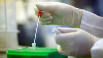 В России провели более 450 тысяч тестов на коронавирус за сутки - russian.rt.com - Россия