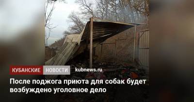 После поджога приюта для собак будет возбуждено уголовное дело - kubnews.ru - Сочи