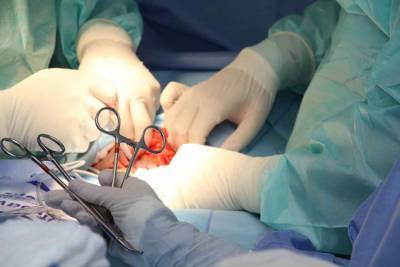 В США хирурги впервые в мире успешно пересадили пациенту лицо и обе руки - live24.ru - Сша - штат Нью-Джерси