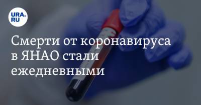Смерти от коронавируса в ЯНАО стали ежедневными - ura.news - Россия - округ Янао - Ноябрьск - Салехард
