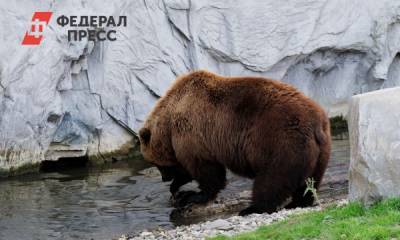 Чум, медведи и ГУЛАГ: чем удивит туристов Ямал - fedpress.ru