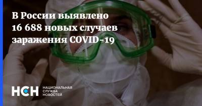 В России выявлено 16 688 новых случаев заражения COVID-19 - nsn.fm - Россия