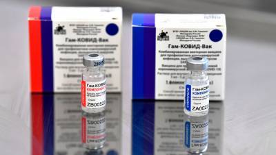 Виллем Ханекий - В ЮАР назвали впечатляющими результаты испытаний вакцины «Спутник V» - gazeta.ru - Юар